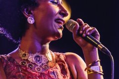05-al-quasar-sextonplugged-2023