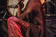 32-al-quasar-sextonplugged-2023
