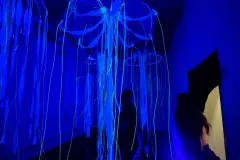 05_convergenze_2026